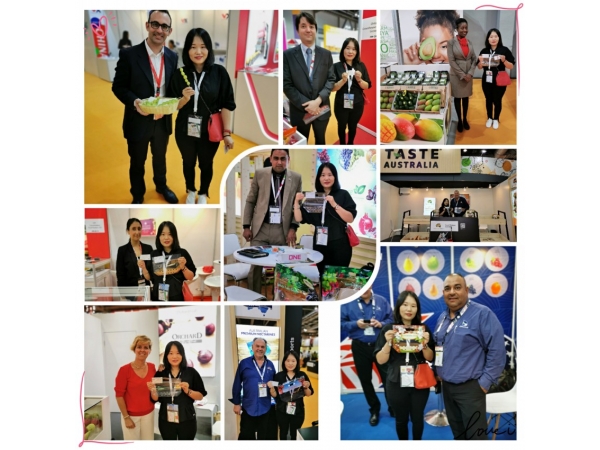 2019 Asia Fruit Logistica-HongKong