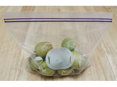 Clear Resealable Plastic Double Zipper Bag